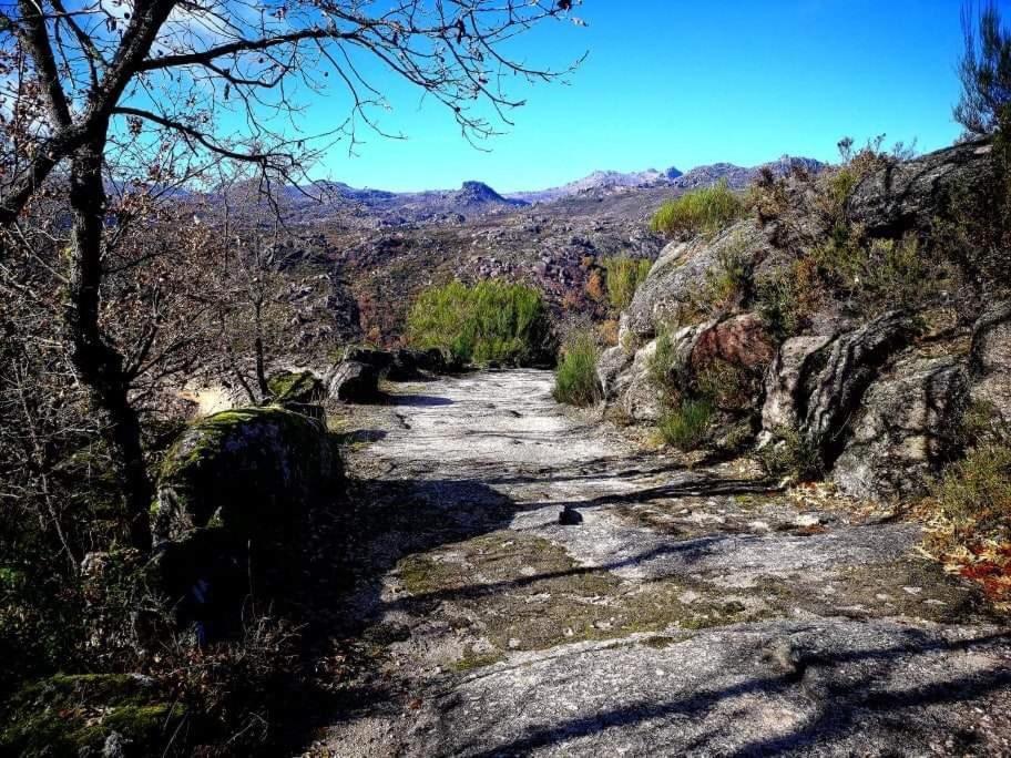 Villa Casa Albelo do Gerês à Montalegre Extérieur photo